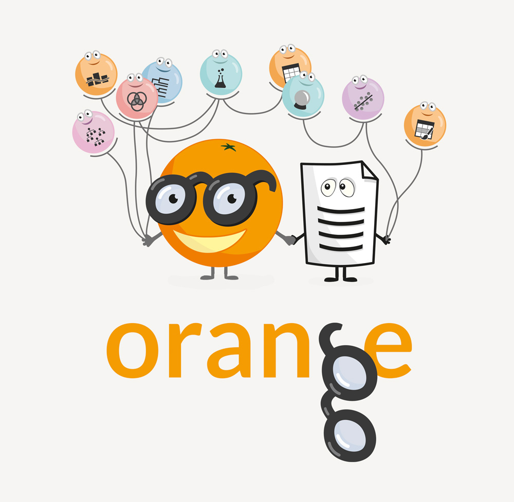 Orange visual identity